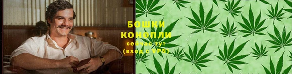 спайс Ельня