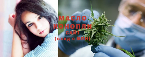 спайс Ельня
