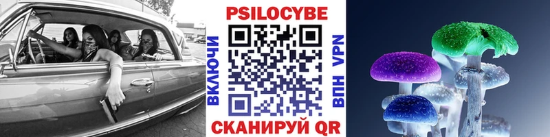 Псилоцибиновые грибы GOLDEN TEACHER Купить закладки Боготол